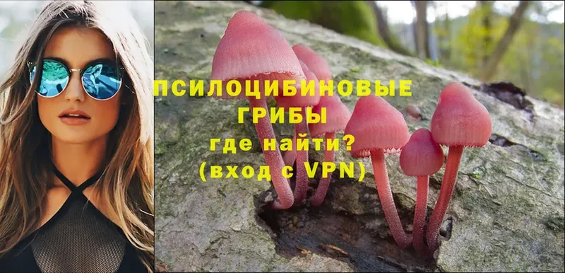 Псилоцибиновые грибы MAGIC MUSHROOMS  Бабушкин 